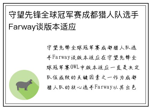 守望先锋全球冠军赛成都猎人队选手Farway谈版本适应